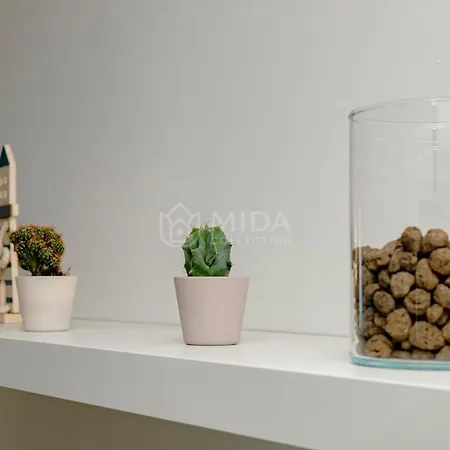 Sea Corner شقة *